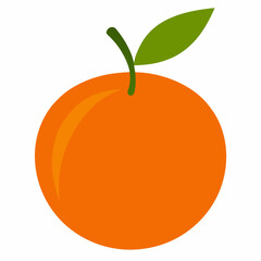 Clementine silhouette on white background