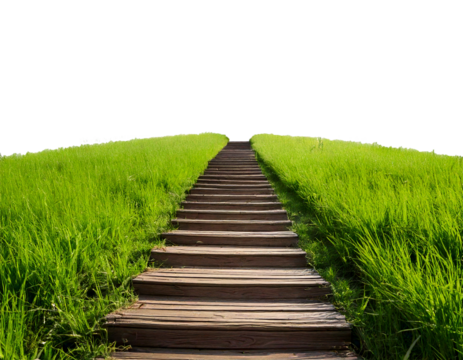 Wooden stairs leading up through grassy hill Isolated on Transparent or White Background - Powered by Adobe