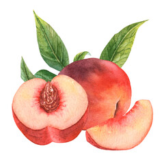  Juicy peach in watercolor. Whole peach and a piece. Peach flowers.