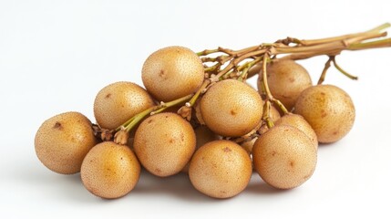 Bunch of Longan Fruits