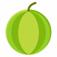 Crenshaw Melon: Sweet Fruit

