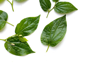 Fresh wild betel leaves with flower