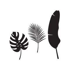 Silhouette of three tropical leaves – monstera, palm, and banana – each styled in unique curved positions