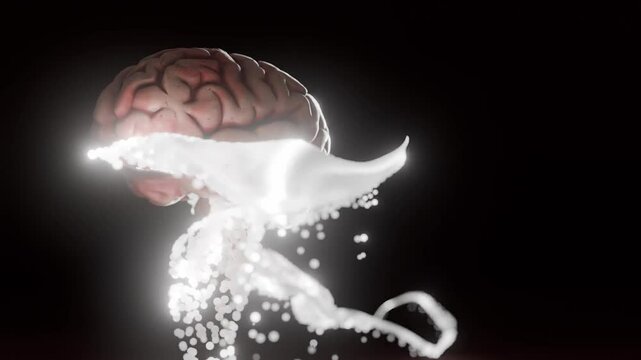 Human brain with glowing white energy waves on dark background. 3D render of anatomical model and neural stream. Artificial intelligence and neuroscience concept. Design for poster, wallpaper.
