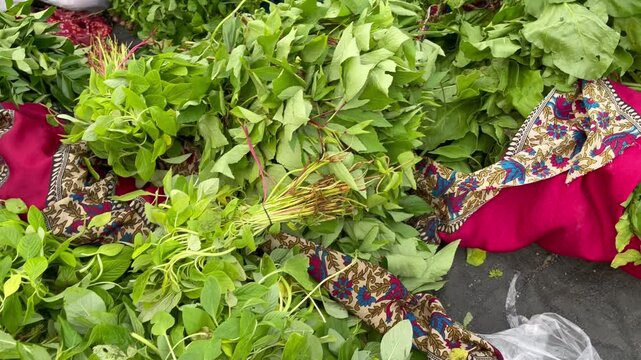 all types of leafy greens in vegetable market
