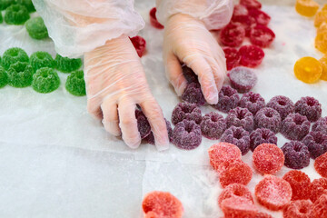 Hands sorting colorful marmalade candies on a white surface in a candy production area
