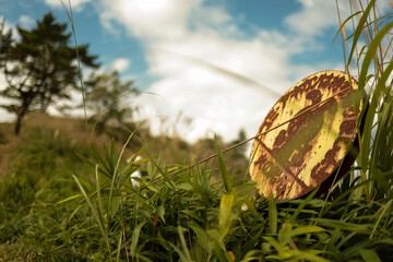 Abandoned Rusty Sign in a Grassy Field