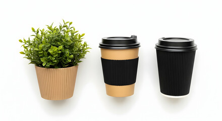 Eco-friendly Coffee Cups and Plant in Recycled Pot