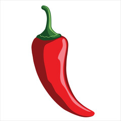 Red hot chili pepper vector illustration. Spicy natural ingredient graphic for cooking and food themes.