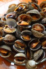 ripe fresh cockle on plate, delicious food in restaurant