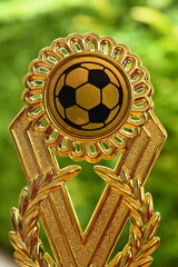 beautiful golden trophy of football contest on green tree background