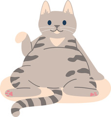 Fatty cute cat on mat