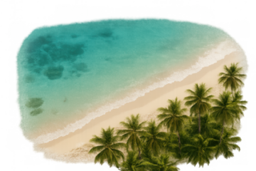Aerial view of a tropical beach with palm trees and turquoise water gently lapping the shore, isolated on a transparent background