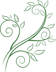 Elegant green swirl leaf design in line art style, perfect for botanical decoration, eco-friendly branding, nature-themed invitations, packaging, and ornamental graphic projects.