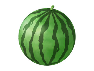スイカ①　watermelon　水彩　イラスト