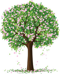 spring tree with pink flowers