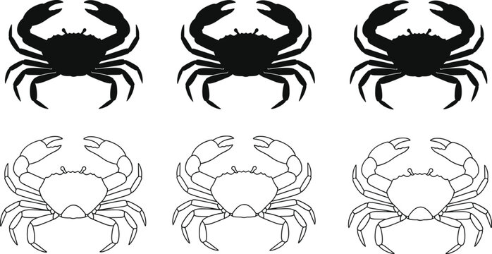 Crab silhouette and outline illustration set, marine animal vector, seafood graphic art, ocean creature icon, sea life design, crustacean clipart for print, digital, and decor