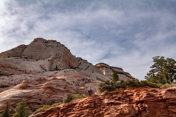 Zion National Park, Utah. Navajo Sandstone / Sedimentary rocks, cross-bedding / cross-stratification
