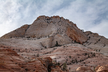 Zion National Park, Utah. Navajo Sandstone / Sedimentary rocks, cross-bedding / cross-stratification