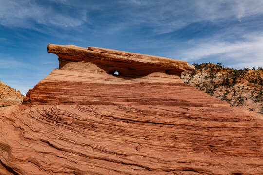 Zion National Park, Utah. Navajo Sandstone / Sedimentary rocks, cross-bedding / cross-stratification