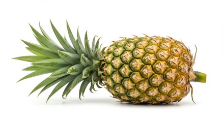 Fototapeta premium Pineapple Harvesting Celebration Tropical Farm Food Photography Natural Setting Close-Up View Fresh Produce Delight for Health Enthusiasts