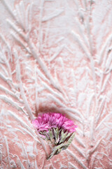 fondo de arcilla con textura de bajo relieve pintado rústicamente con tono  rosa pastel y flor ornamental