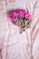 una florecita rosada sobre fondo desenfocado con bajo relieve en color palo de rosa 