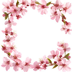 Obraz premium Delicate Pink Blossoms Frame a Square of transparent Background
