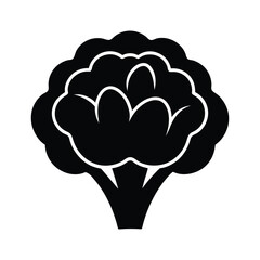 Cauliflower vector silhouette illustration isolated on white background