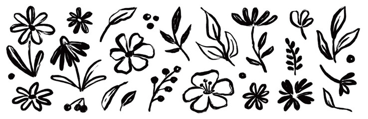 Naklejka na ściany i meble Flower brush hand drawn vector set. Hand drawn doodle flower, floral leaf elements in brush stroke ink style. Simple abstract botanical silhouette set for nature black paint art. Vector illustration