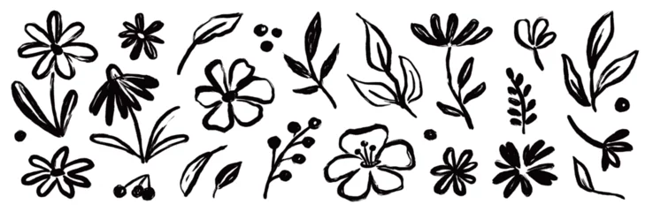 Schilderijen op glas Geschilderde Bloemen Flower brush hand drawn vector set. Hand drawn doodle flower, floral leaf elements in brush stroke ink style. Simple abstract botanical silhouette set for nature black paint art. Vector illustration  © Polina Tomtosova