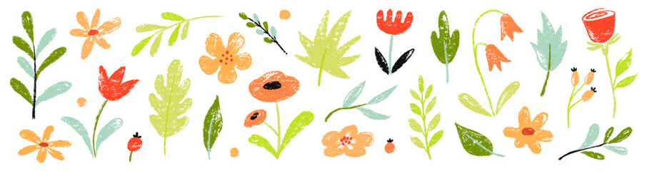 Obraz na płótnie Canvas Flower spring vector garden cute element set. Hand drawn pastel flower, leaf, wildflower daisy cute elements with crayon chalk texture. Doodle garden floral plant kid background. Vector illustration