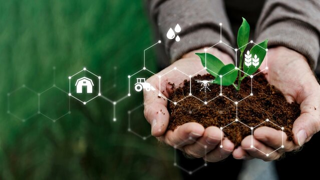 Hand holding young plant for environment day