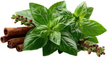 Aromatic Culinary Delight: A close-up showcases the harmonious blend of fresh basil and cinnamon, perfect for culinary creations, and the essence of warmth and flavor