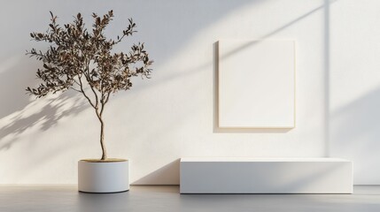 Empty gallery wall with a plant and display platform.