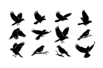 Obraz premium Birds Silhouettes Flying and Perched on Branch Illustration