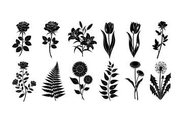 Floral Silhouette Collection Various Flower and Plant Vector Graphics