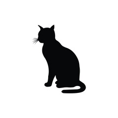 black cat on white background