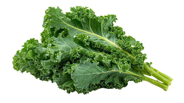 fresh kale isolated on white background