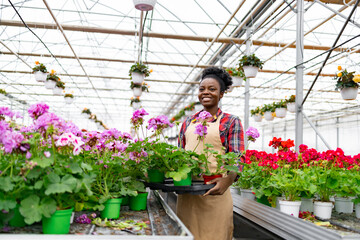 An African American woman smiles, carrying pots of flowers in a greenhouse filled with plants.