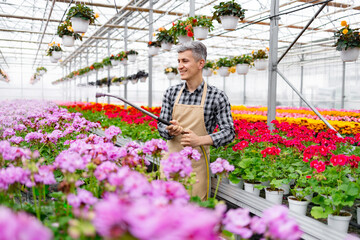 A man waters flowers in a vibrant greenhouse filled with colorful blooms and hanging plants.