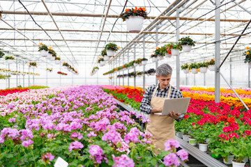 A gardener in a greenhouse checks the health of vibrant flowers using a laptop, surrounded by blooms.