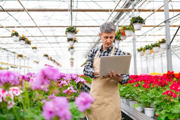 A man in a greenhouse surrounded by vibrant flowers uses a laptop. He appears to be working in a...