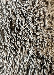 fur texture background