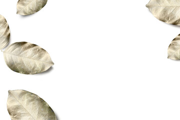 Gold spray painted leaves png background