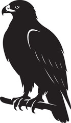 Majestic silhouette of an eagle perched on a branch, Resting raptor in elegant pose