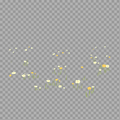 Fototapeta premium Scattered Wildflowers Clipart – Small Yellow & White Blossoms on Transparent Background