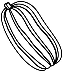 Delicata Squash Vector Outline Line Art Drawing