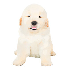 Obraz premium Cute puppy png sticker, watercolor illustration, transparent background
