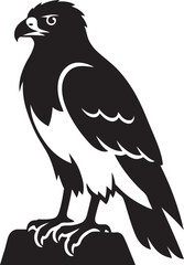 Fototapeta premium Bold black and white silhouette of a hawk perched on a rock, Watchful raptor illustration
